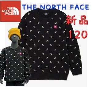 THE NORTH FACE ノースフェイス キッズ スウェット 長袖 ロゴ 120