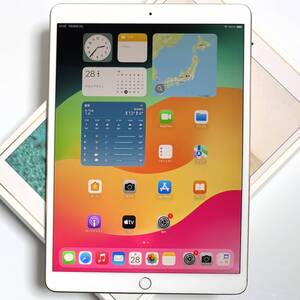 Apple iPad Pro (10.5インチ) ゴールド 64GB MQDX2J/A Wi-Fiモデル iOS17.7.4 バッテリー最大容量81％ アクティベーションロック解除済