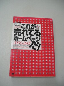 ☆最新 これが売れてるホームページだ! ～2000‐2001 売上高で見るホームページ☆