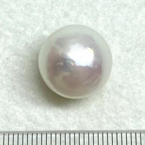 ソ付き!!1円〜!!◯南洋白蝶真珠21.919ct◯n 約15.4mm ルース 裸石 宝石 south sea pearl 真珠 DA1/DA1 テEA5◎ w4 81