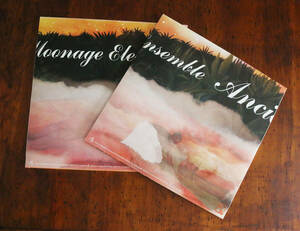 Calm　/　Calm feat Moonage Electric Ensemble 2/4 3/4 2枚セット カーム レコード 