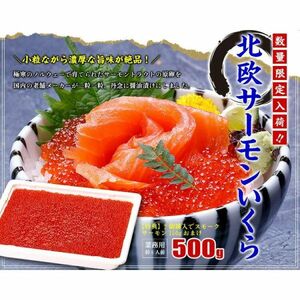 【特選小粒】北欧サーモンいくら醤油漬け 業務用たっぷり500g 約6人前 イクラ 食べ放題企画!