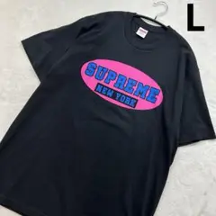 シュプリーム　23ss newyorktee Lサイズ　試着のみ極美品