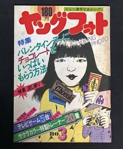 ニュー激写マガジン　季刊 ヤングフォト　第3号　昭和52年12月号　天体写真　流し撮り　カメラタイムズ社