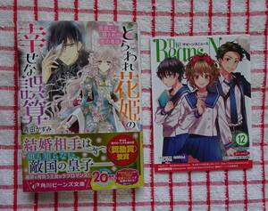 ［ビーンズ文庫］とらわれ花姫の幸せな誤算～仮面に隠された恋の名は～/青田かずみ★椎名咲月