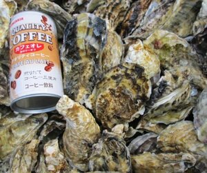 【身入り、味が一番良い本当の旬到来中】牡蠣ＳＳ４ｋｇ【約80粒】 殻付き 牡蠣 殻付き 牡蛎 牡蠣加熱用 カキ 牡蛎かきバーベキュー