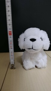 白のトイプードル ぬいぐるみ　約10cm　送料無料