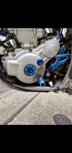 WR250R ステンレス製　クランクケースプロテクター　クランクケースカバー　クランクケースガード　クランクケース保護　厚さ2㎜