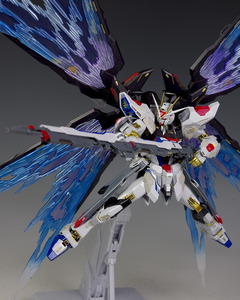 ★国内正規品 METAL BUILD ストライクフリーダムガンダム&魂ウェブ 光の翼オプションセット SEED FREEDOM マイティー ライジング 