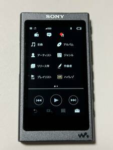 SONY WALKMAN ソニーウォークマン モデルNW-A35.