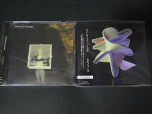 PAINTED PALMS/forever,horizons 国内CDx2 チルウェーヴ ドリームポップ エレポップ サイケ of montreal washed out powers