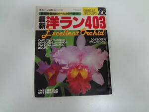 を1-f02【匿名配送・送料込】　最新　洋ラン　403　　文芸ムックス　66号　　洋ランへの誘い　Ⅲ　