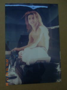 YOSHIKI 写真 ブロマイド 261 / X JAPAN