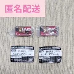 DARS 半熟ダーステリーヌショコラ 2点