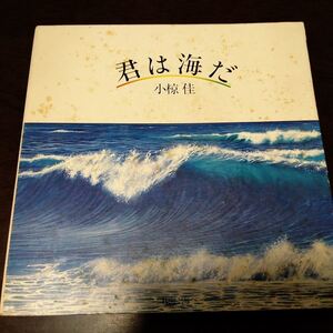 EP　小椋佳　/　君は海だ、海へ 　※見開きジャケット　003