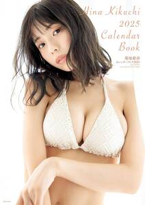 菊地姫奈　2025カレンダーブック　新品未開封