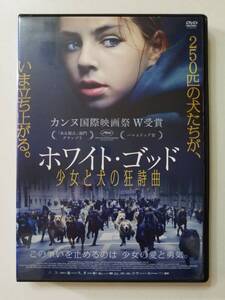 【中古DVD ホワイト・ゴッド 少女と犬の狂詩曲(ラプソディ) ジョーフィア・プショッタ シャーンドル・ジョーテール ルーク&ボディ】