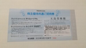 在庫9 Bunkamura ザ・ミュージアム ル・シネマ渋谷宮下 五島美術館/茶道具取合せ展他 東急株主優待共通ご招待券 2025年5月31日まで 