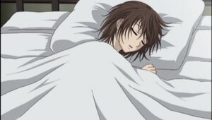 ★ヴァンパイア騎士 19話 アニメ素材(大判) /眠る優姫 / 樋野まつり原作 Vampire Knight