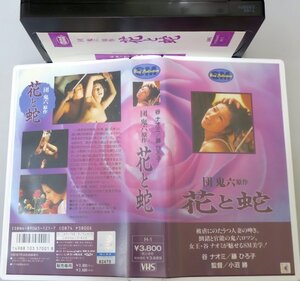 団鬼六 原作 花と蛇 谷ナオミ 藤ひろ子 / H-1 / 中古VHS / 日活 にっかつ *48187