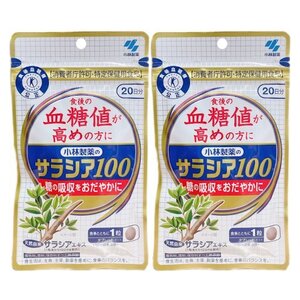 小林製薬のサラシア100 20日分 60粒 サプリメント 2個セット