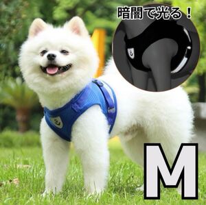 【M】ブルー 青 ハーネス　リード　犬用　猫用　散歩　ペット　脱げない 小型犬