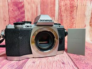 OLYMPUS オリンパス E-M10 シルバー ミラーレス ボディ OM-D 