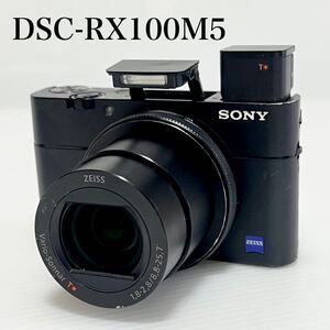 SONY ソニー DSC-RX100M5 Cyber-shotサイバーショット デジタルカメラ ブラック