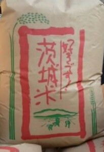 茨城産　茨城米　コシヒカリ　R5　こしひかり　業務用 白米 米 安い　10kg　10キロ　玄米