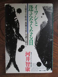 D＜ イワシと逢えなくなる日　-5億年の結晶「魚種交替」の謎に迫る-　/1988年/　河井智康　著/　情報センター出版局＞