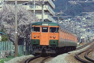 115系 白H 安芸中野の桜