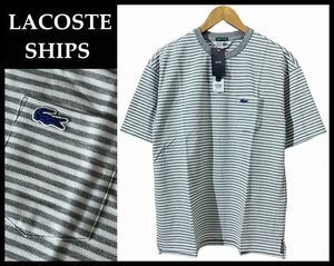 送無 新品 LACOSTE ラコステ EXCLUSIVE EDITION 限定 SHIPS シップス 別注 青ワニ ロゴ ワッペン ボーダー 鹿の子 カノコ Tシャツ グレー M