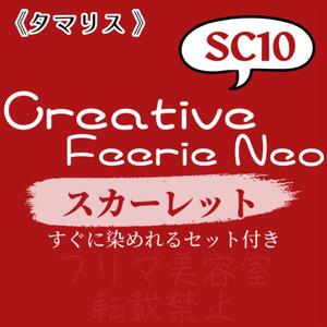 SC10 ファッションカラー　セット　ロング　ヘアカラー　スカーレット レッド　すぐに使える　美容室　ヘアカラー剤　おしゃれ染め