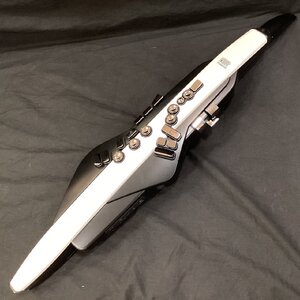 Roland Aerophone AE-20(ローランド エアロフォン デジタル管楽器)【新品特価】【新発田店】