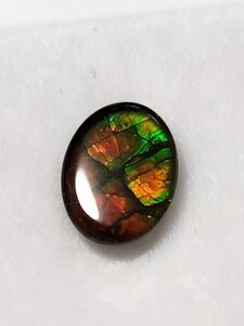 アンモライト　1.03ct