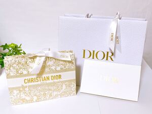 クリスチャン・ディオール「Christian Dior」ショッパー 2枚組 (4573) 正規品 付属品 ショップ袋 ブランド紙袋 2枚重ね可 封筒あり