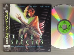 ★日LD ロジャー・ドナルドソン監督/SFホラー映画 SPECIES スピーシーズ 種の起源 帯付★