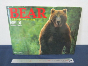 写真集 BEAR 火と水の国カムチャツカの生命 岡田昇 大型本 初版 ヒグマ 熊 グリズリー