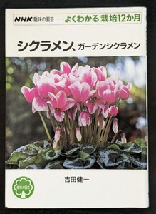 シクラメン、ガーデンシクラメン （ＮＨＫ趣味の園芸　よくわかる栽培１２か月）