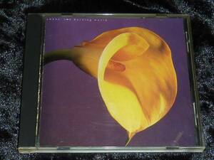 Swans / The Burning World = CD(輸入盤,unid-601,スワンズ,ゴシック・ロック,ノー・ウェイヴ,gothic rock,no wave)