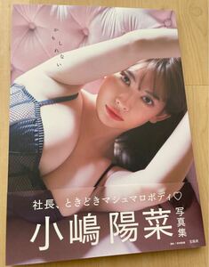 小嶋陽菜 写真集『かもしれない』直筆サイン入り　初版　未読品