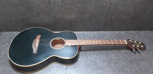 01S58■Takamine　P-40　エレアコ■