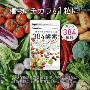 384種類の野菜 野草 果実 海藻 キノコ 豆類を使用 　384酵素 約1ヵ月分 384種類重複一切無し 送料無料 酵素サプリ