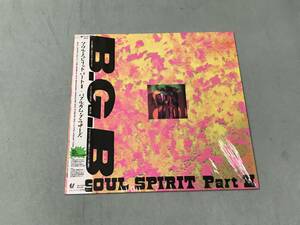 BUBLE GUM BROTHERS　バブルガム・ブラザーズ　SOUL SPIRIT part Ⅱ　ソウル・スピリット パートⅡ　10点以上の落札・同梱発送で送料無料