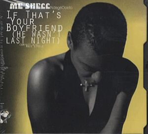 米CD Meshell Ndegeocello If Thats Your Boyfriend 9413162 Maverick /00110