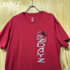 USA古着Tシャツ　XLサイズ Hanes オーバーサイズ ドラゴン　龍