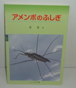 水生昆虫2000『アメンボのふしぎ』 乾實 著