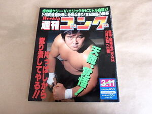 週刊ゴング453　平成5年3月号