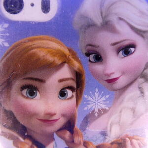 アナと雪の女王★仲良し姉妹★プライベート写真も飾れます★Disney★スマホカバー★iPhone５/５S★ディズニーアート★新品