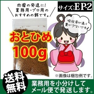 109-04-010 日清丸紅飼料おとひめEP2（沈降性）100g ※メール便　金魚小屋-希-福岡